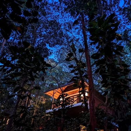 Coffee Acres Resort 칼파타 외부 사진