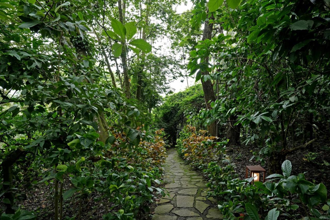 Coffee Acres Resort 칼파타 외부 사진