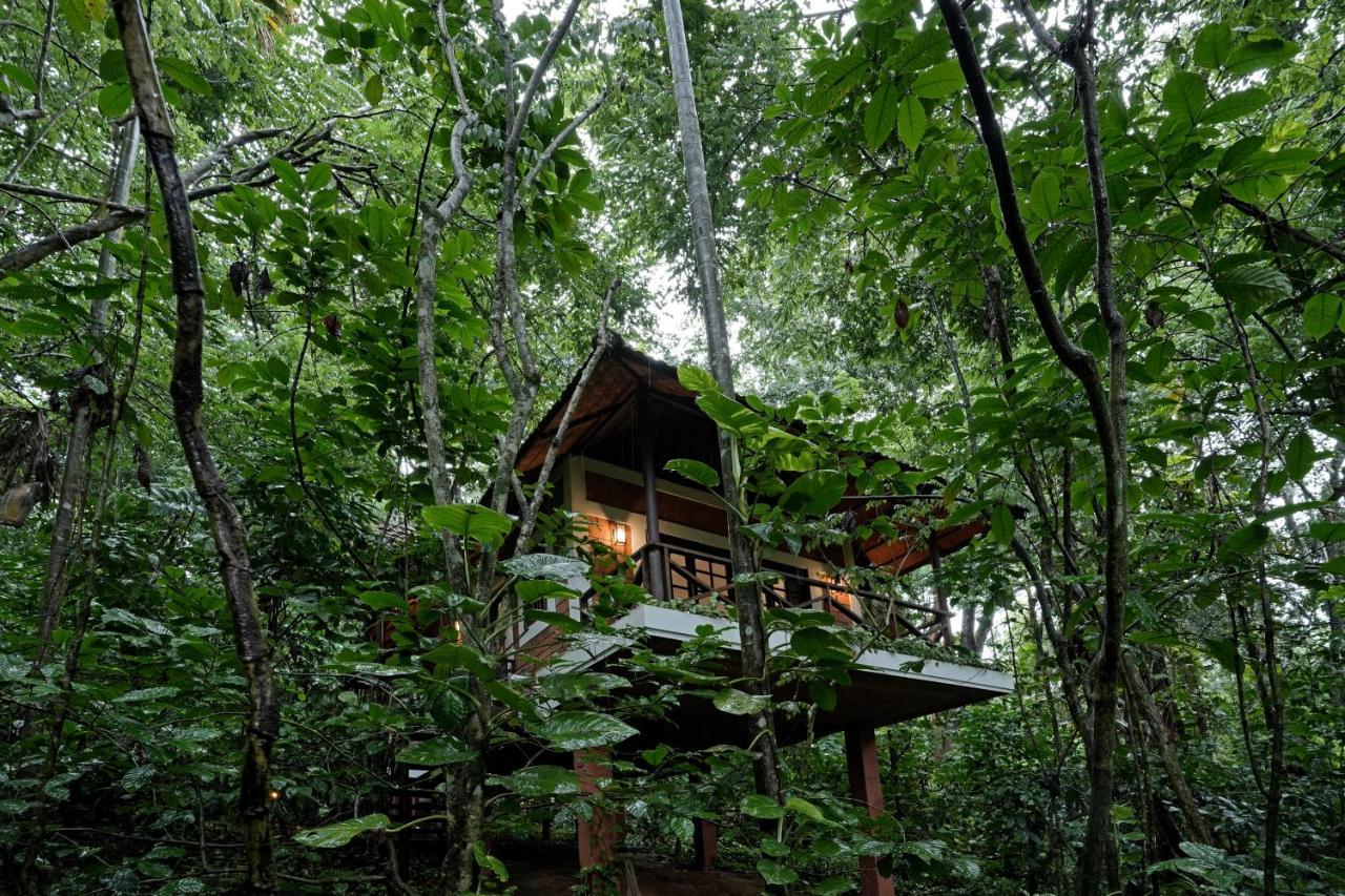 Coffee Acres Resort 칼파타 외부 사진
