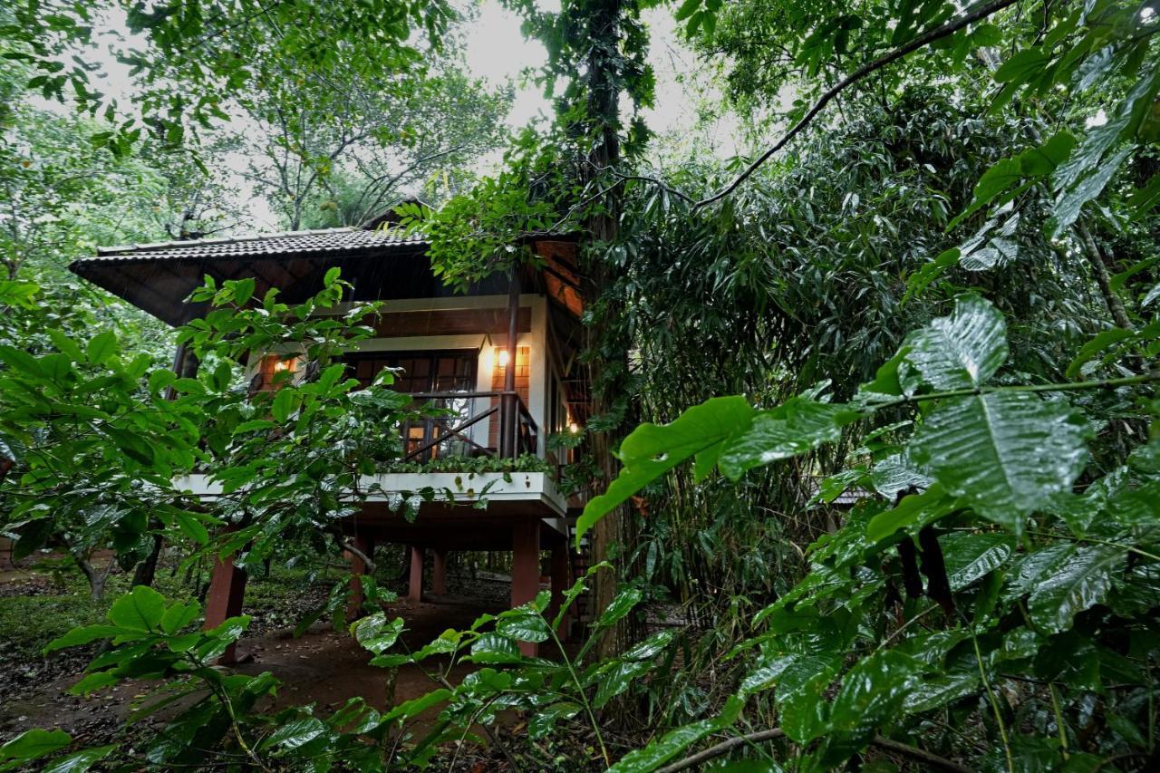 Coffee Acres Resort 칼파타 외부 사진
