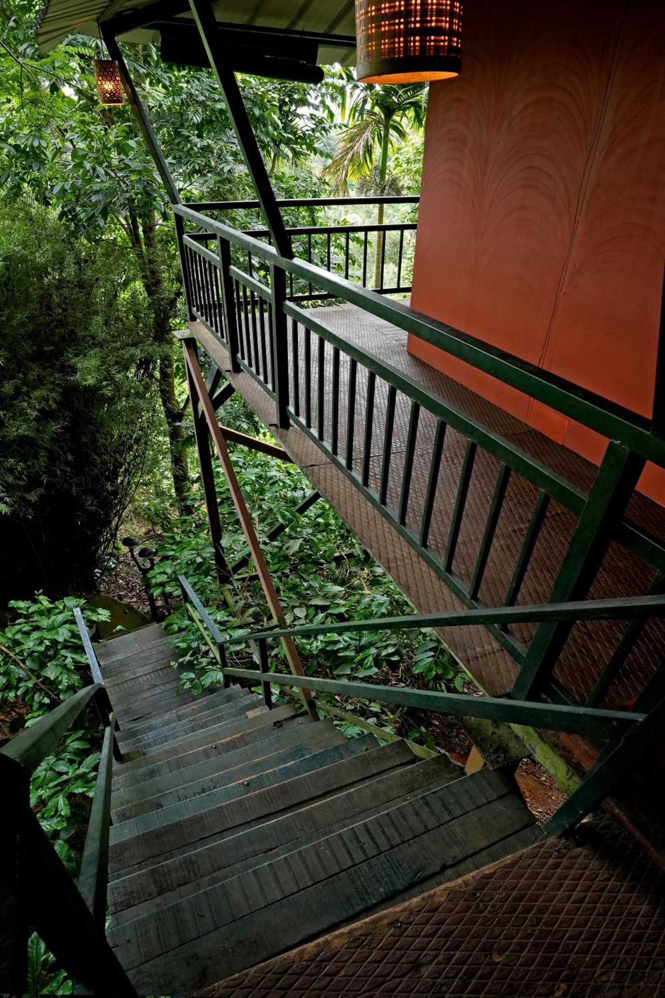 Coffee Acres Resort 칼파타 외부 사진