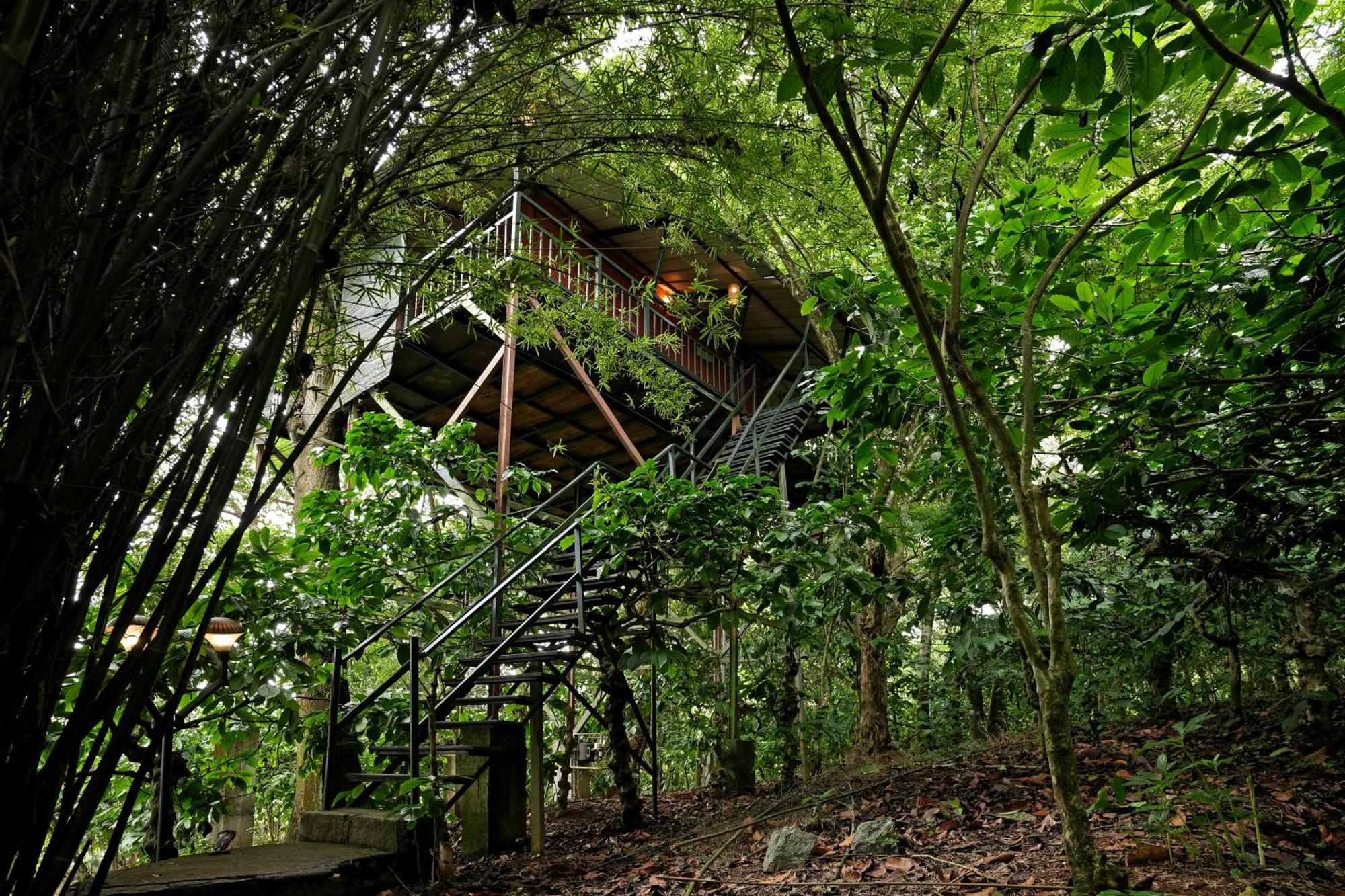 Coffee Acres Resort 칼파타 외부 사진