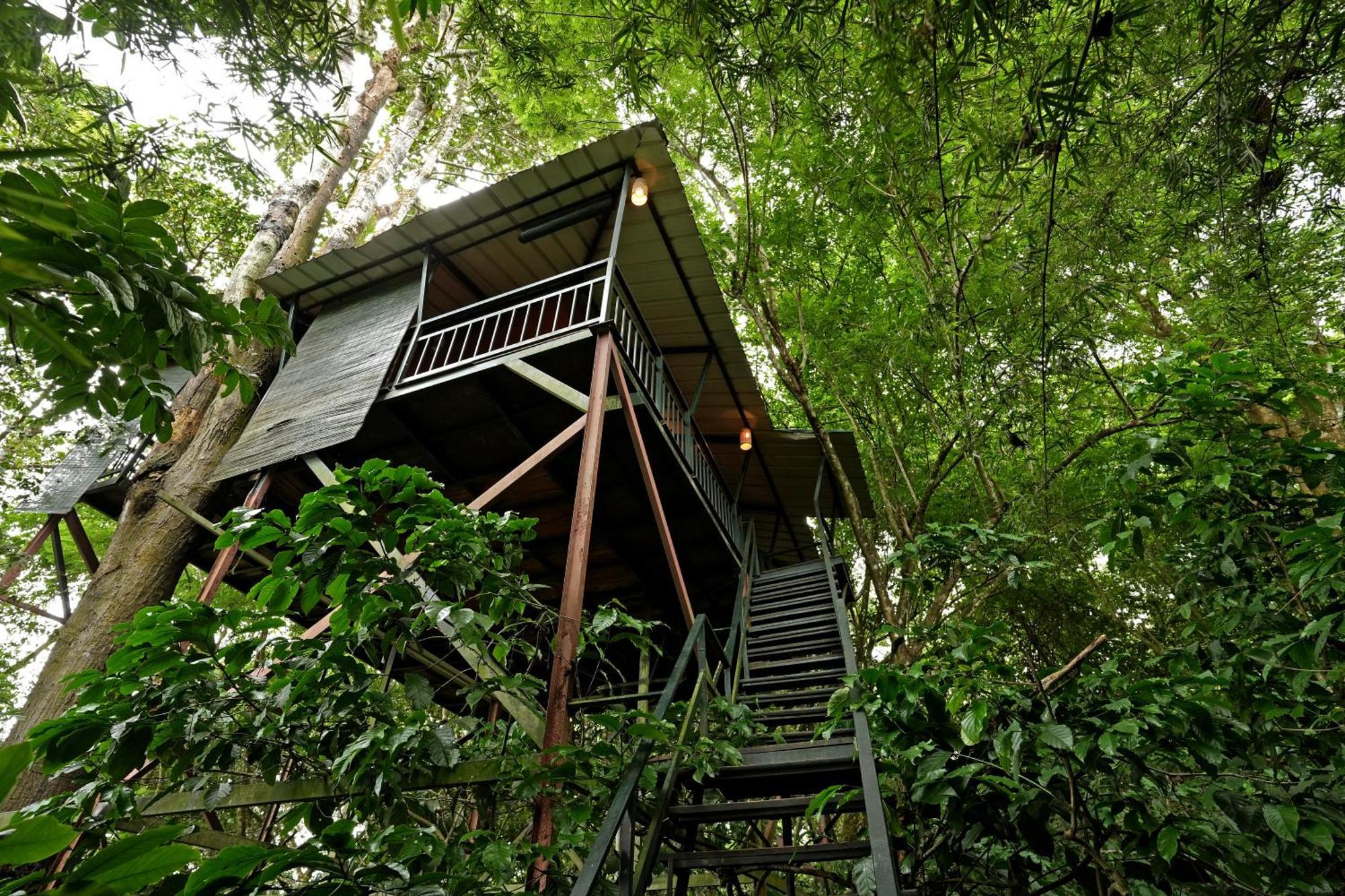 Coffee Acres Resort 칼파타 외부 사진